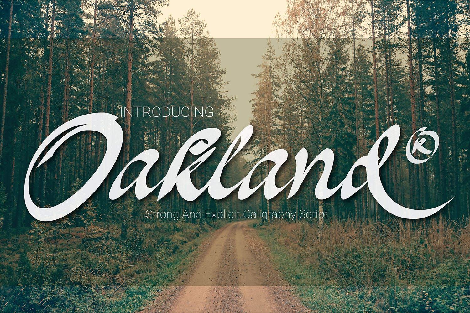 Discover Oakland: A Painterly Calligraphy Font for Crafters
