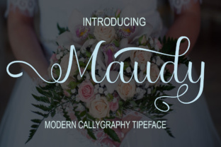 How to Use Maudy Font for Engaging Digital Campaigns